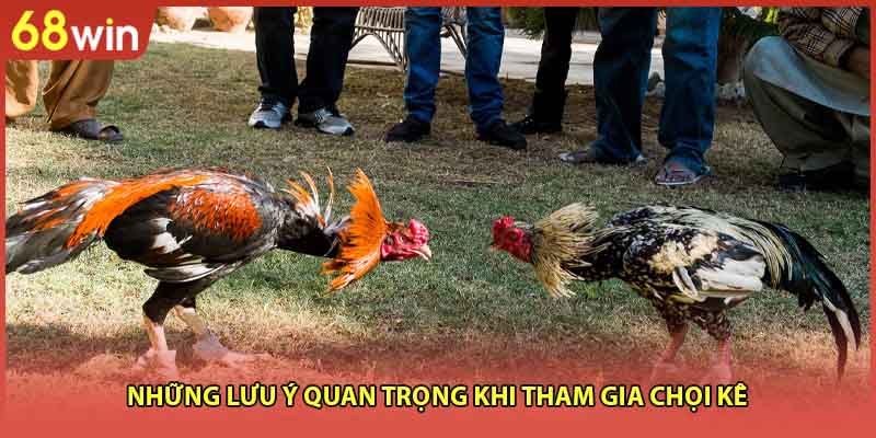 Những lưu ý quan trọng khi tham gia chọi kê